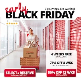 Sentinel Storage - Mission Promotion