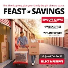 Sentinel Storage - Mission Promotion