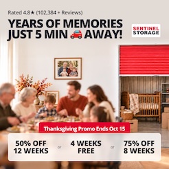 Sentinel Storage - Mission Promotion